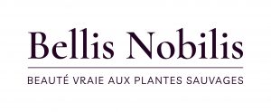 Bellis Nobilis **